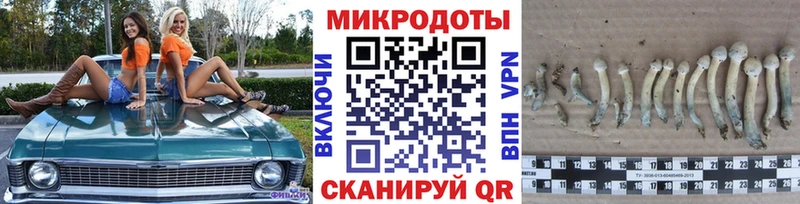 мега как войти  Приволжск  Галлюциногенные грибы мухоморы  как найти наркотики 